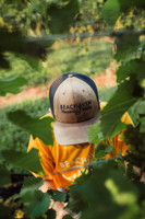 Harvest
